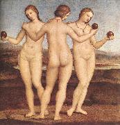 RAFFAELLO Sanzio The Three Graces F oil